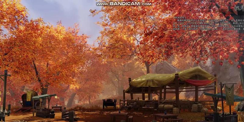 如何通过剑网3黑天刷本攻略，轻松掌握最强武功，成为顶级高手？