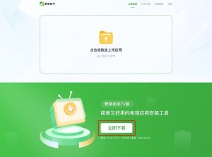 野草助手电视版