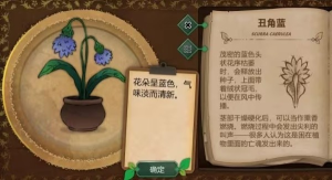 奇异园艺安卓版