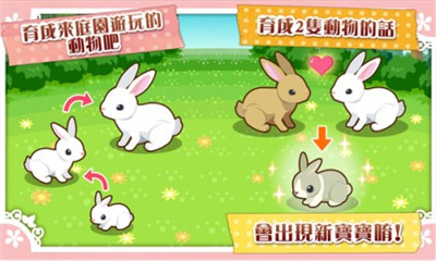 箱庭物语:送往动物小岛的信下载 v1.0.2394 游戏截图 2