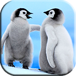 爱钓鱼的企鹅游戏下载-爱钓鱼的企鹅(冰川钓鱼)下载 v1.0