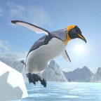 北极企鹅模拟器游戏下载-北极企鹅模拟器(动物模拟)Arctic penguin下载 v1.0