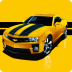 泊车之王下载 v2.0