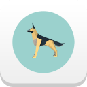 Багт нэгдээрэй (Хоньчин нохойн тоглоом) v1.1.0 хувилбарыг татаж аваарай