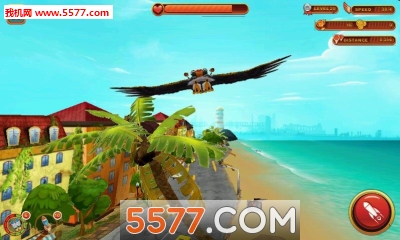 疯狂老鹰游戏下载-疯狂老鹰(模拟老鹰)insane Eagles下载 v1.0 游戏截图 3