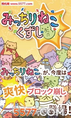 萌猫打砖块下载-萌猫打砖块下载 v1.0 游戏截图 2