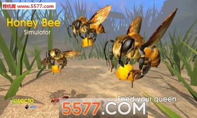 蜜蜂模拟器免费下载-蜜蜂模拟器最新版(动物模拟)Honey Bee Simulator下载 v1.0 게임 스크린샷 1