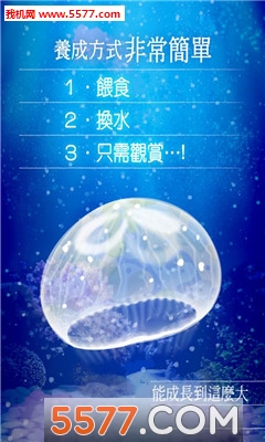 海蜇养成游戏下载-治愈系海蜇养成游戏手机版下载 v1.0中文版 游戏截图 3