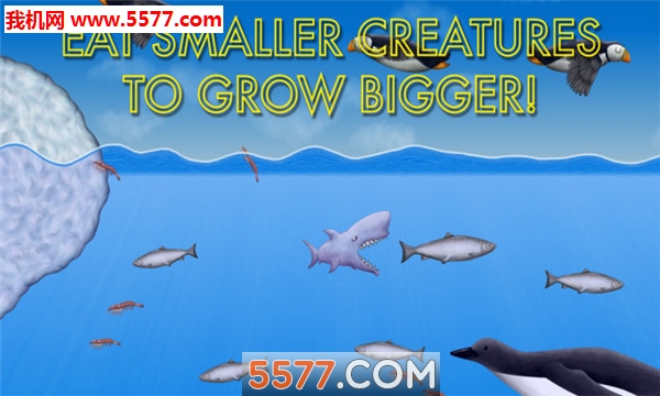 美味深蓝鲨鱼版下载-Tasty Blue(美味深蓝鲨鱼游戏)下载 v3.3.1免费版 游戏截图 2