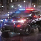 保护总统模拟器无限钞票版下载-保护总统模拟器无限金币版下载 v500最新版