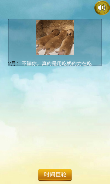 猫的一生重启模拟器游戏下载-猫的一生重启模拟器手机版下载 v230 遊戲截圖 4