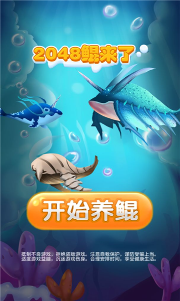 2048鲲来了游戏下载-2048鲲来了安卓版下载 v1.0.0 ئويۇن سۈرىتى 4