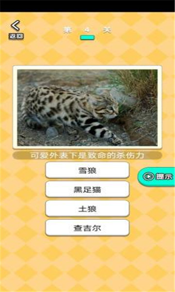 开心动物农场游戏下载-开心动物农场红包版下载 v1.5 游戏截图 2