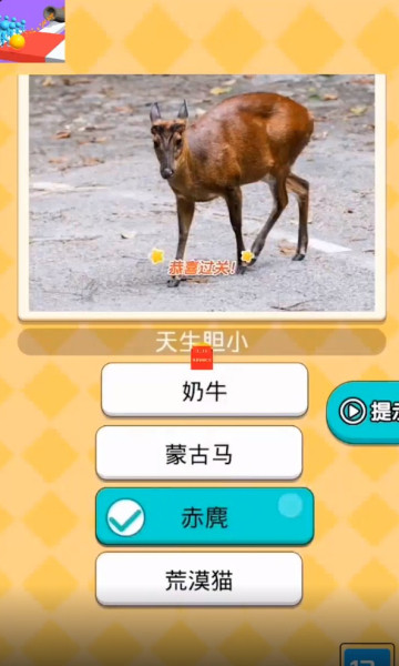 曲棍球高手游戏下载-曲棍球高手红包版下载 v1.0 Тоглоомын зураг 1