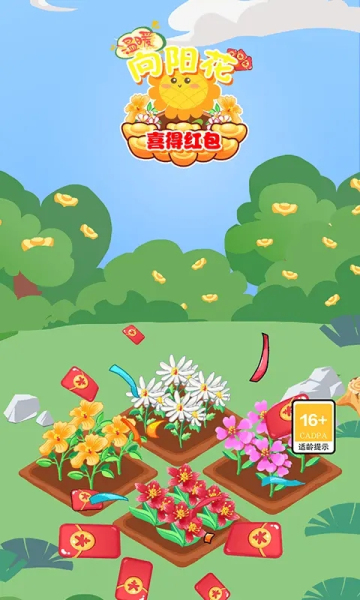 温暖向阳花喜得红包