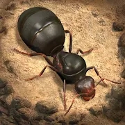 The Ants خەلقئارا نۇسخىسىنى چۈشۈرۈڭ - The Ants v3.82.0 نى چۈشۈرۈڭ