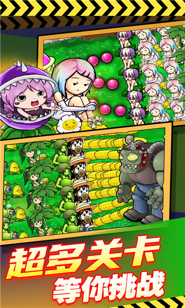 植物反击战娘化版下载-萌娘植物反击战游戏下载 v1.0 游戏截图 1