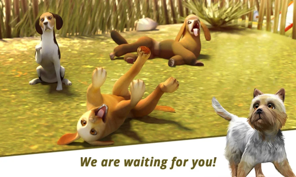 狗狗旅馆游戏下载-狗狗旅馆(Dog Hotel)下载 v2.1.10 རོལ་རྩེད་པར་རིས། 3