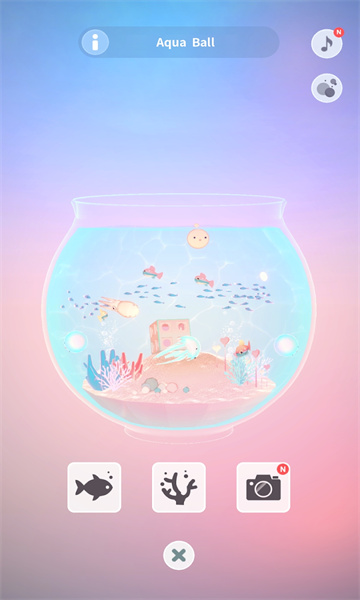 与鲸遨游安卓版