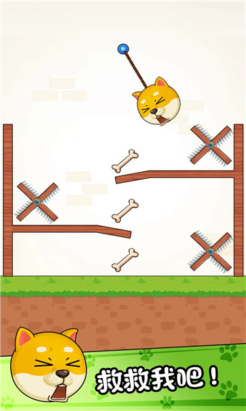 菜狗闯关游戏下载-菜狗闯关最新版下载 v1.0.1手机版 游戏截图 3